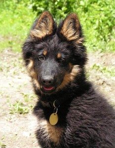 autor fotog. Lucka S.